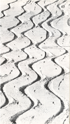 1960 – Tracks of "wedeln" skiers in powder, leaving points of punctuated pole use